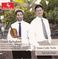 Schubert / Cotik,tomas / Lin,tao - Complete Works For Violin & Piano 2 - Music CD