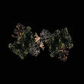 Woodsman - Woodsman - Vinyl Record