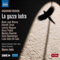 Rossini / Mastrototaro / Brno Classica Chamber - Thieving Magpie - Music CD