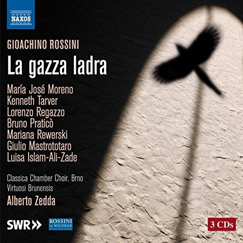 Rossini / Mastrototaro / Brno Classica Chamber - Thieving Magpie - Music CD