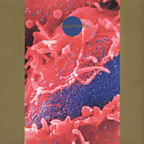 Death Ambient - Synaesthesia - Music CD