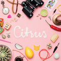 Animal Daydream - Citrus - Vinyl Record