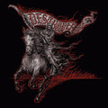 Destroyer 666 - Wildfire - Music CD