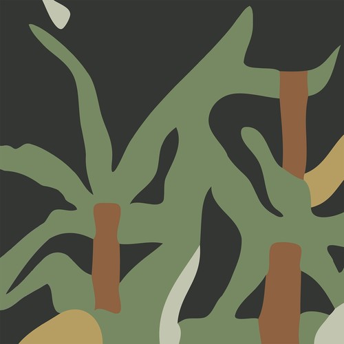 Valet - Nature - Vinyl Record