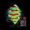 Bombollesse - Vice & Versa - Music CD