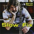 Hayes,bernie - Slow Fix - Music CD
