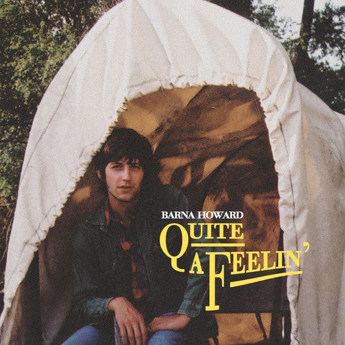 Howard,barna - Quite A Feelin - Music CD
