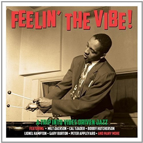 Feelin' The Vibe / Various - Feelin' The Vibe / Various - Music CD