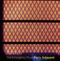 Andriano,dan In The Emergency Room - Party Adjacent - Vinyl Record