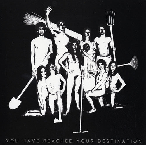 Asian Women On The Telephone - You Have Reached Your Destination - Vinyl Record