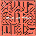 Jimmy Eat World - Surviving Vinyl Record