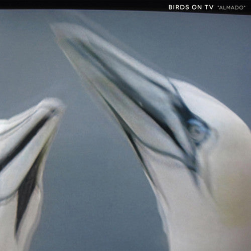 Birds On Tv - Almado - Vinyl Record