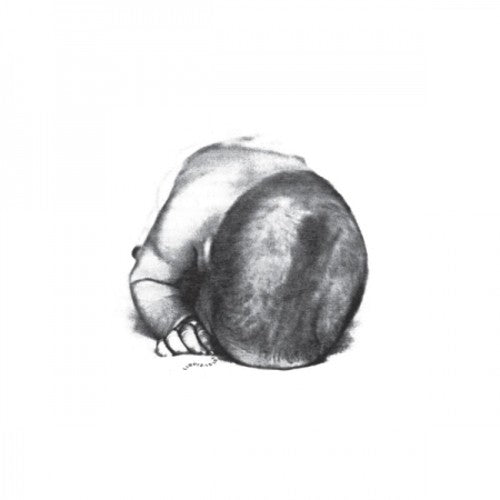 Liquid Idiot / Idiot Orchestra - Liquid Idiot / Idiot Orchestra - Vinyl Record