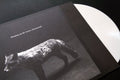 Hanging Up The Moon - Immaterial - Music CD