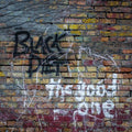 Black Diet - Good One - Music CD