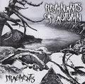 Remnants Of Autumn - Fragments - Music CD