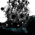 Kloke - Sea Levels - Vinyl Record