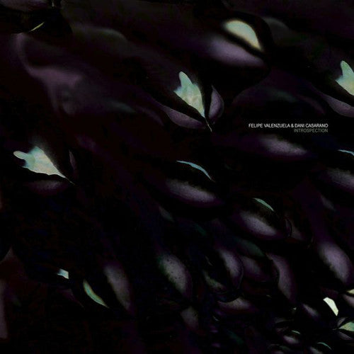 Valenzuela,felipe & Casarano,dani - Introspection - Vinyl Record