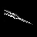 Black,konrad - Scorched Earth - Vinyl Record