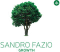 Fazio,sandro - Growth - Music CD