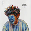 Hobo Johnson - The Fall Of Hobo Johnson (white vinyl) Vinyl Record