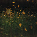 Adams,robin - Garden - Music CD