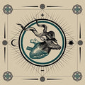 Ohhms - Cold - Music CD