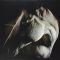 Brother Dege - How To Kill A Horse - Vinyl Record