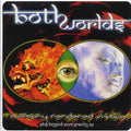 Both Worlds - Memory Rendered Visible (ltd. ed.) (2xLP) (clear vinyl) Vinyl Record