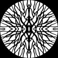 Pfirter - Procyon - Vinyl Record