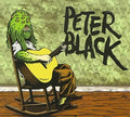 Black,peter - Clearly You Didnt Like The Show - Music CD