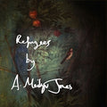 Jones,meilyr - Refugees/birds - Vinyl Record