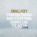 Small Feet - From Far Enough Away Everything Sounds Like - Vinyl Record