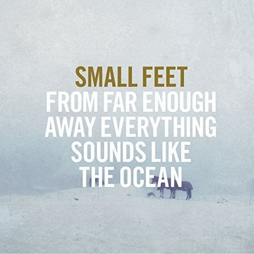 Small Feet - From Far Enough Away Everything Sounds Like - Vinyl Record