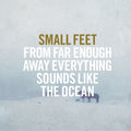Small Feet - From Far Enough Away Everything Sounds Like - Music CD