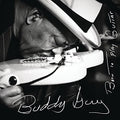 Guy,buddy - Born To Play Guitar - Music CD