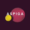Aspiga - What Happened To You - Vinyl Record