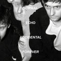 Normal Echo - Accidental Forever - Vinyl Record