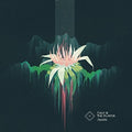Folly & The Hunter - Awake - Vinyl Record