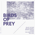 Birds Of Prey - Birds Of Prey - Vinyl Record