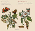 Somis / Gatti / Mosca / Tabacco - Perle Del Piemonte - Violin Music In 18th-century - Music CD