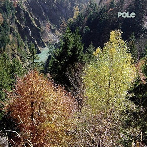 Pole - Wald - Vinyl Record