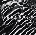 Tensnake - Keep On Talking / The Walk - Vinyl Record