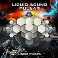 Liquid Sound Vs Puls - Liquid Pulses - Music CD
