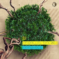 Parallel Dialog - Nanotree - Music CD