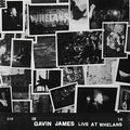 James,gavin - Live At Whelans - Vinyl Record