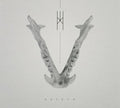 Crown - Natron - Music CD