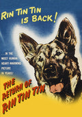 Return Of Rin Tin Tin - Return Of Rin Tin Tin - DVD