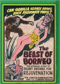 Beast Of Borneo - Beast Of Borneo - DVD
