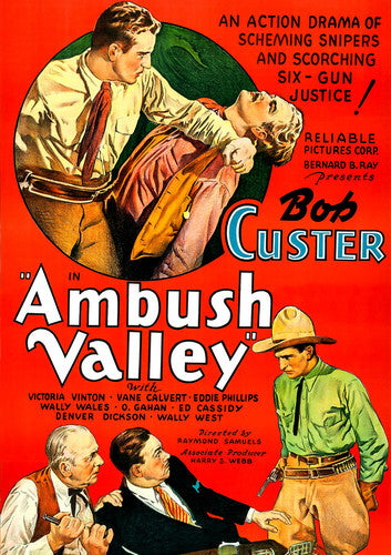 Ambush Valley - Ambush Valley - DVD